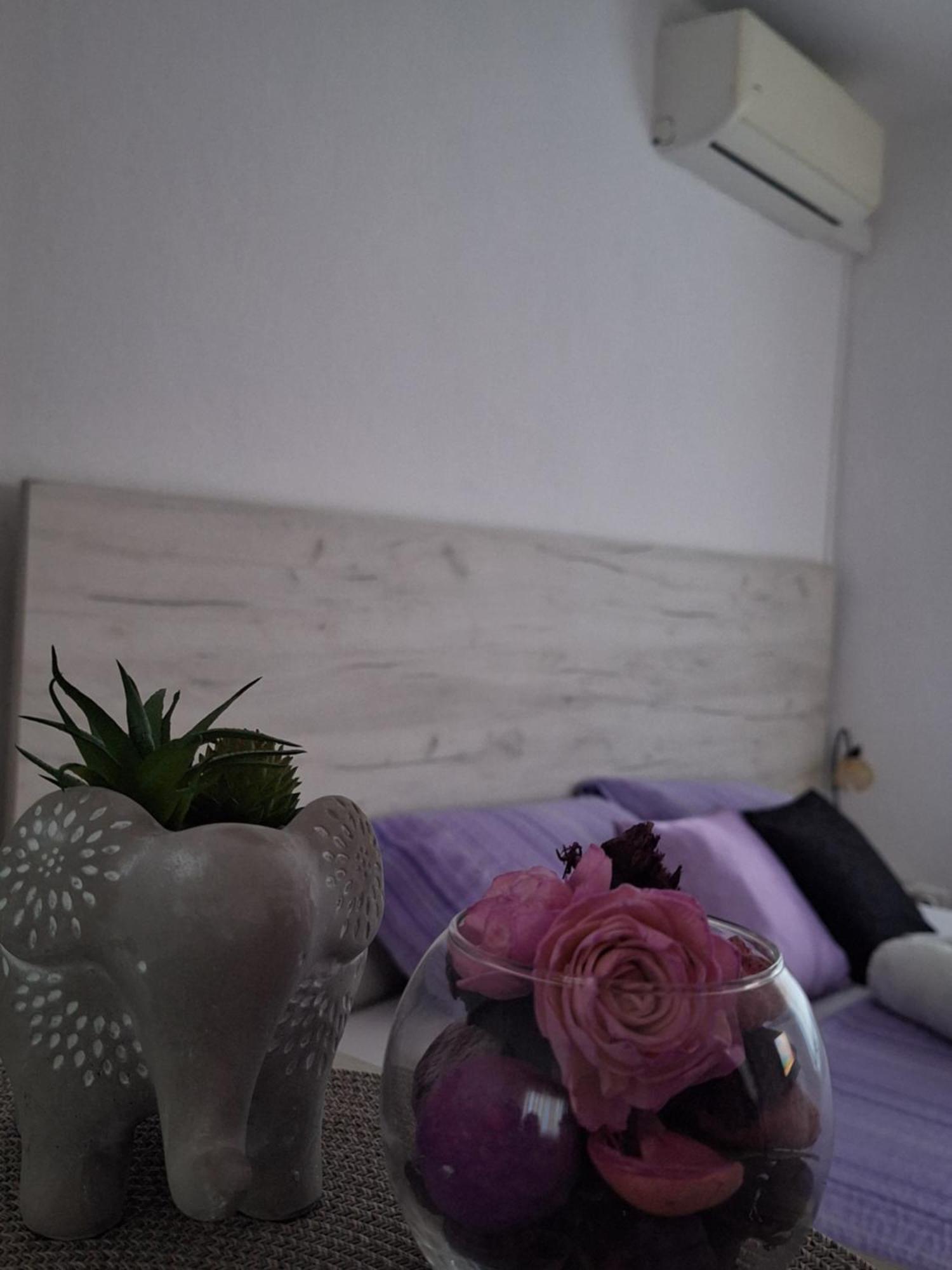 Apartment And Zed Mostar